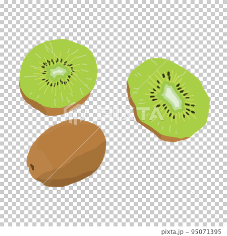 可愛又時尚的獼猴桃插畫 95071395