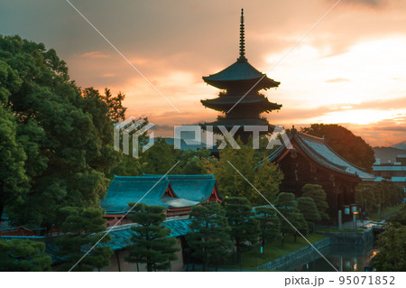 京都市南区夜明けを待つ東寺の五重塔 95071852