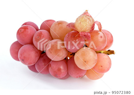 ぶどう(シナノスマイル) ぶどう(シナノスマイル) 95072380