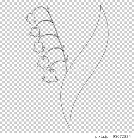 鈴蘭插圖素材 鈴蘭插圖素材 95072824