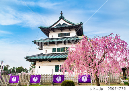 青森県 弘前公園の満開桜 ~天守~ 青森県 弘前公園の満開桜 ~天守~ 95074776