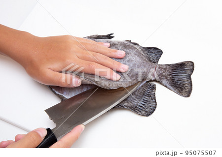 魚をさばく 魚をさばく 95075507