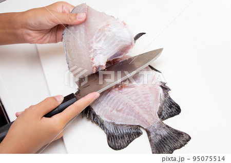魚をさばく 魚をさばく 95075514