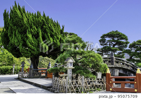 鎌倉 鶴岡八幡宮 太鼓橋 鎌倉 鶴岡八幡宮 太鼓橋 95075709