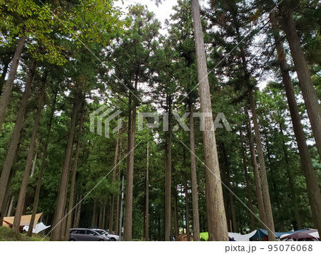 キャンプ 美山 京都府 かやぶき キャンプ 美山 京都府 かやぶき 95076068