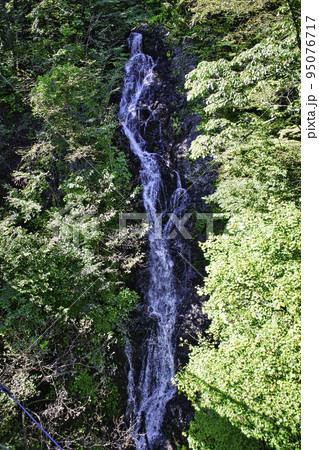 東京都　檜原村　都民の森　三頭大滝 (みとうおおたき） 95076717