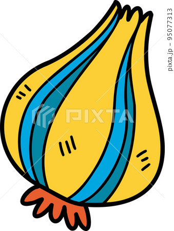 Hand Drawn onion illustration 95077313
