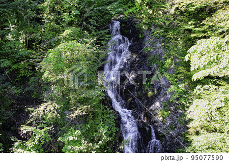東京都 檜原村 都民の森 三頭大滝 (みとうおおたき) 東京都 檜原村 都民の森 三頭大滝 (みとうおおたき) 95077590