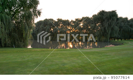 Green golf course with willow and pond views 95077614