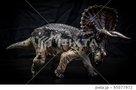 dinosaur , triceratops in the dark 95077972