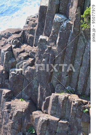 俵磯　爪木崎　下田　南伊豆　伊豆半島ジオパーク　柱状節理 95077979