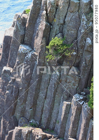 俵磯　爪木崎　下田　南伊豆　伊豆半島ジオパーク　柱状節理 95077980