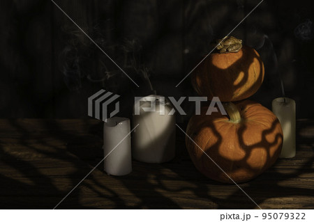 Little frog on an orange pumpkins for Halloween with the shadow of the branches of a creepy tree on dark background. festive design with candles Little frog on an orange pumpkins for Halloween with the shadow of the branches of a creepy tree on dark background. festive design with candles 95079322