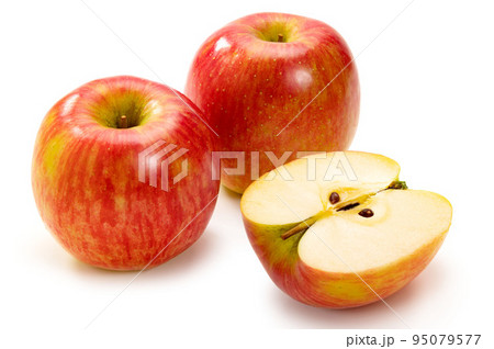 シナノドルチェ 95079577