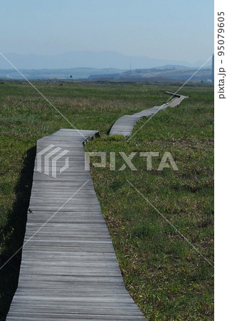 はまなすの丘公園（北海道石狩市） 95079605