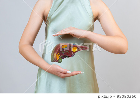 woman holding liver in the hands. Help and care concept 95080260