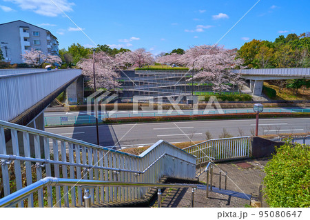 東京都多摩市落合の富士見通りから鶴牧の奈良原公園方面を見る 東京都多摩市落合の富士見通りから鶴牧の奈良原公園方面を見る 95080647