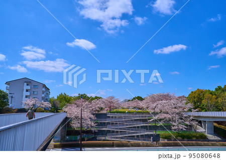 東京都多摩市落合から鶴牧の奈良原公園方面を見る 95080648