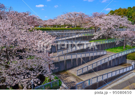 東京都多摩市鶴牧の奈良原公園方面を見る 東京都多摩市鶴牧の奈良原公園方面を見る 95080650
