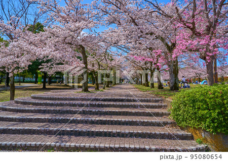 東京都多摩市鶴牧の奈良原公園方面を見る 95080654