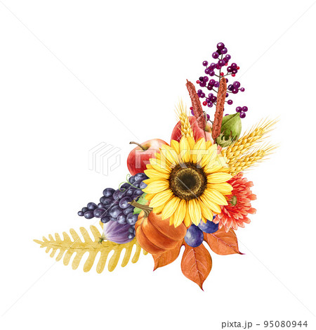 Autumn floral harvest decor with fruit. Watercolor illustration. Hand drawn warm colors fall festive decoration with sunflower, fern, apple, grapes, pumpkin, autumn leaves. White background 95080944
