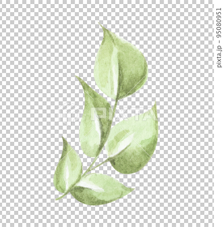 Green leaves elements. Watercolor floral illustration. Green leaves elements. Watercolor floral illustration. 95080951