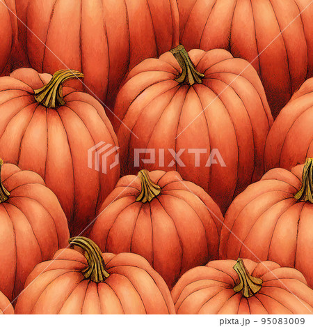 illustrated autumn harvest pumpkin background 95083009
