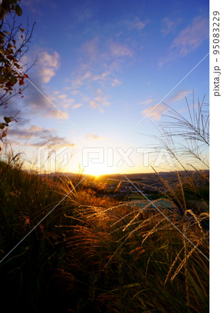 秋の夕日とすすきの原 秋の夕日とすすきの原 95083229