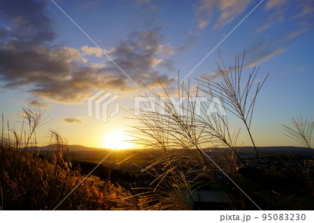 秋の夕日とすすきの原 秋の夕日とすすきの原 95083230