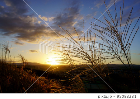 秋の夕日とすすきの原 秋の夕日とすすきの原 95083231