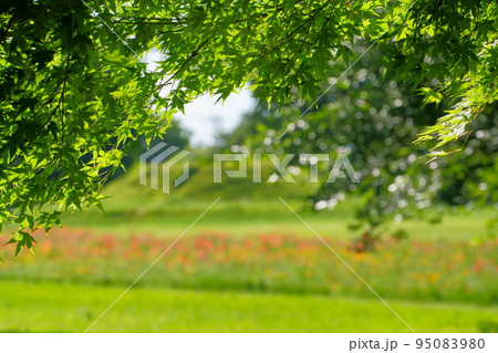 新緑　古墳　大室公園 95083980