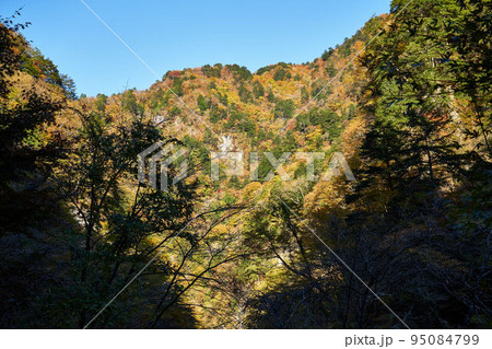 埼玉県秩父市　中津川の紅葉 95084799