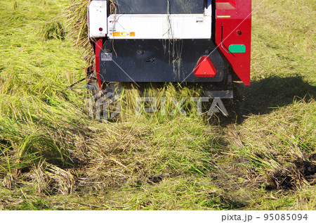 高性能な日本製コンバインを巧みに操縦して台風シーズン後の倒れた稲を収穫期に手際よく刈り取っている光景 高性能な日本製コンバインを巧みに操縦して台風シーズン後の倒れた稲を収穫期に手際よく刈り取っている光景 95085094