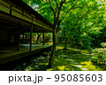 夏の慈恩禅寺 95085603