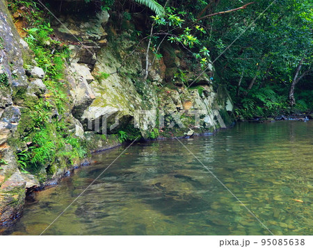 沖縄県大宜味村、ター滝へとつながる平南川 沖縄県大宜味村、ター滝へとつながる平南川 95085638