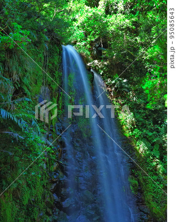 沖縄県大宜味村、癒しの地として有名なター滝 95085643