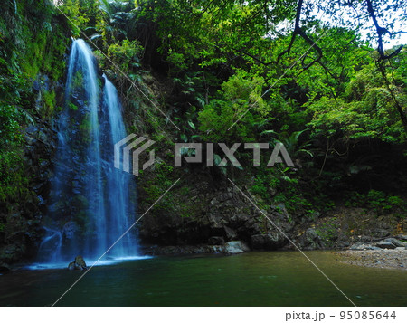 沖縄県大宜味村、癒しの地として有名なター滝 沖縄県大宜味村、癒しの地として有名なター滝 95085644