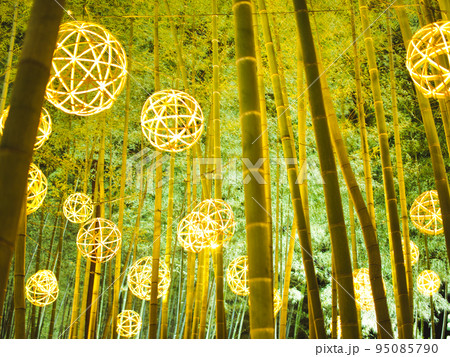 新潟県田上町　竹明り 95085790