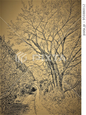 里山の桜 95086012