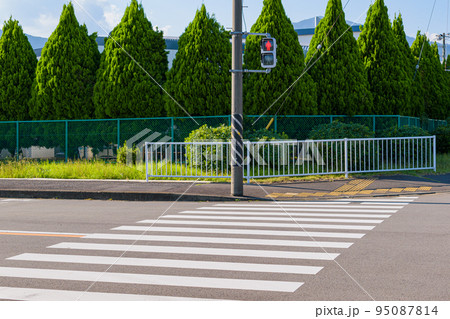 横断歩道と信号機 横断歩道と信号機 95087814