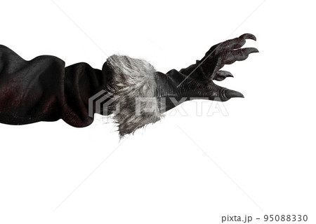 Werewolf hand 95088330