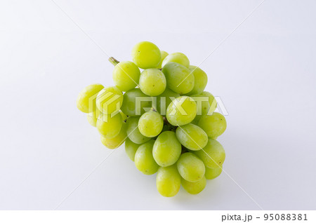 シャインマスカット 95088381