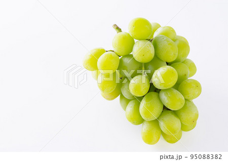シャインマスカット 95088382