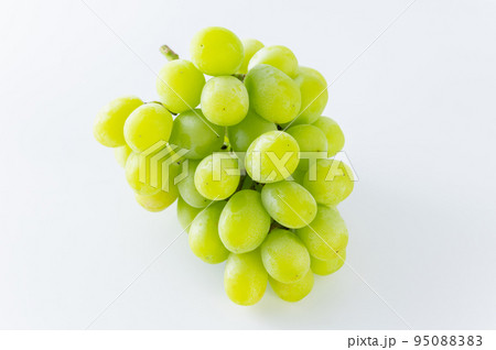 シャインマスカット シャインマスカット 95088383