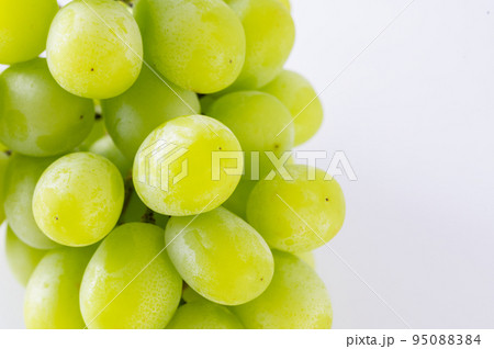 シャインマスカット 95088384