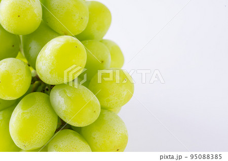 シャインマスカット 95088385