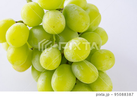 シャインマスカット 95088387