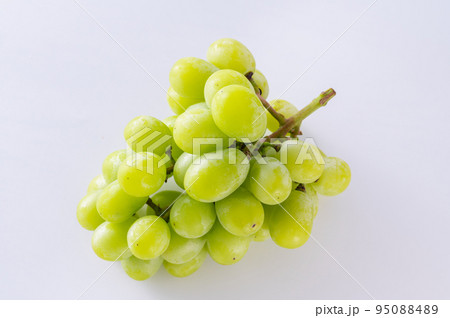 シャインマスカット 95088489