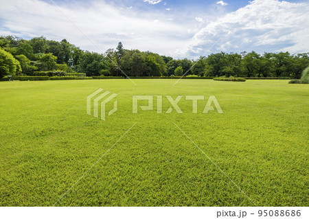 新緑イメージ　草原　草　公園　若葉　木と緑　緑　葉　爽やか 95088686
