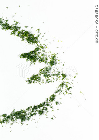 Christmas tree silhouette by green dill on a white background Christmas tree silhouette by green dill on a white background 95088931